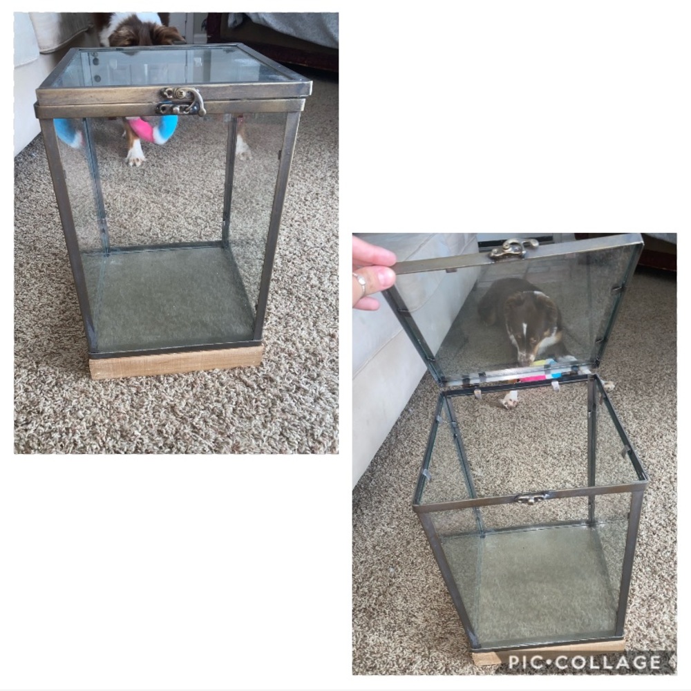 Decor: glass lock box